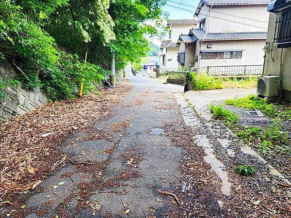 前面道路含む外観