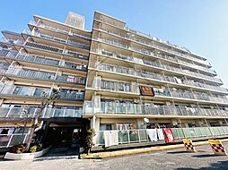 ライネスハイム松戸五香