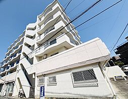 ブルーハイツ柏