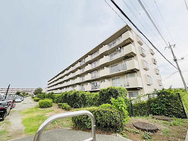 外観：312001303103