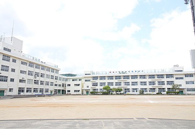 富沢中学校　約400m
