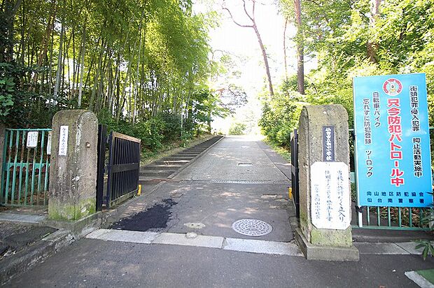 向山小学校　約800m.