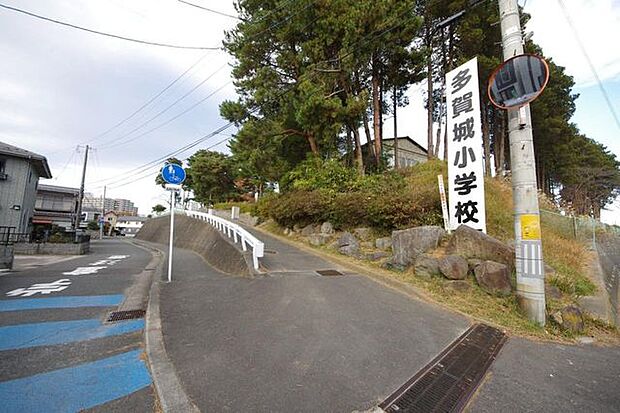 多賀城市立多賀城小学校 徒歩11分。 880m