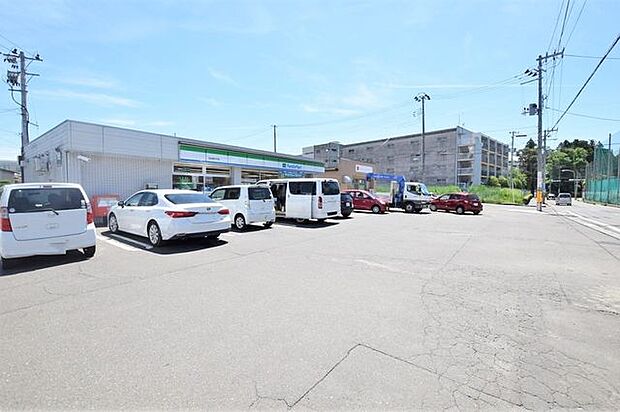 ファミリーマート仙台西の平店 徒歩11分。 820m