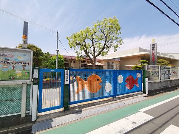 画像26:【幼稚園】堺市立白鷺幼稚園まで291ｍ