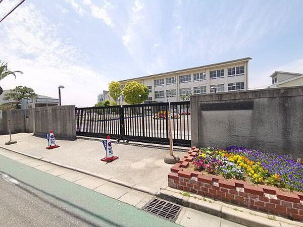 画像28:【小学校】堺市立白鷺小学校まで653ｍ