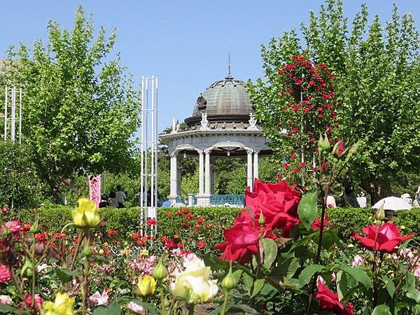 鶴舞公園■緑いっぱいの自然に囲まれた公園です。お父さんの休日には運動用具をもってキャッチボールしたり、サッカーしたりと幅広い遊びを可能にしてくれます。 960m
