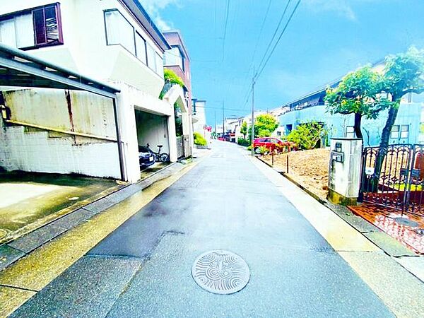 前面道路含む現地写真