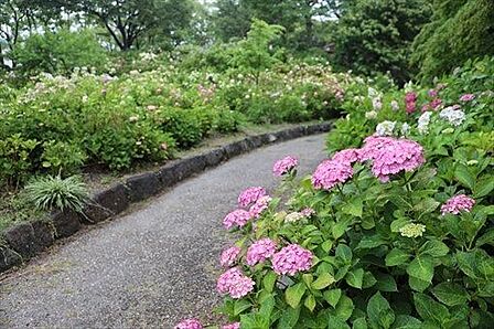 茶屋ヶ坂公園■緑いっぱいの自然に囲まれた公園です。お父さんの休日には運動用具をもってキャッチボールしたり、サッカーしたりと幅広い遊びを可能にしてくれます。 480m