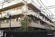 北参道駅より徒歩3分 5階 築43年2ヶ月の賃貸物件