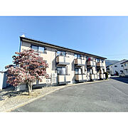 Ｌｉｖｅ・ＴｏｗｎとよだＣ 1階 築24年9ヶ月の賃貸物件