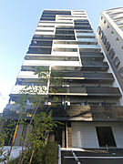 玉川駅より徒歩4分 11階 築2年1ヶ月の賃貸物件