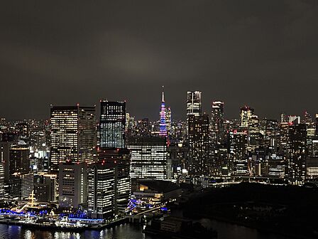 バルコニー西側の夜景に映える東京タワー