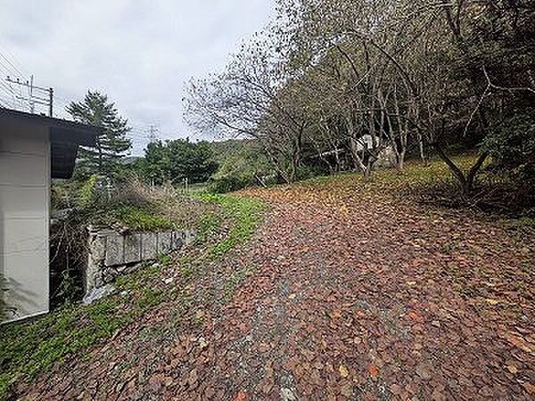 現地北面より緩斜面