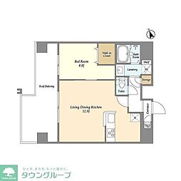 JR常磐線 綾瀬駅 徒歩9分の賃貸マンション 9階1LDKの間取り
