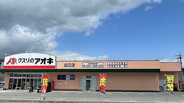 クスリのアオキ近江店 1100m