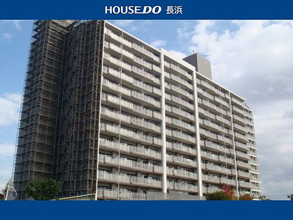 外観：325000128064