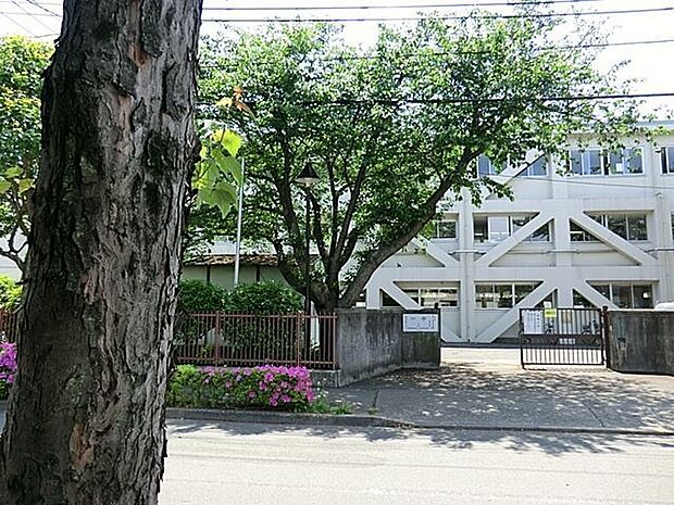 小金井市立小金井第一中学校 徒歩24分。 1920m