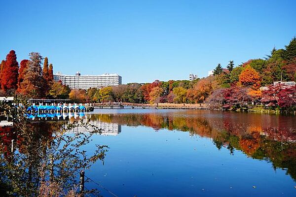 井の頭恩賜公園 徒歩9分。本物件の目の前に面した武蔵野三大貯水池の「井の頭公園」43000平米の広大な敷地では、ボート乗りやお散歩、森林浴がオススメです！四季折々楽しめる公園が目の前にあるのは憧れで…