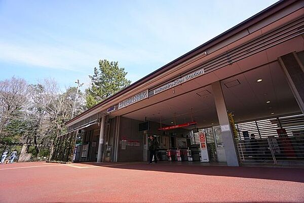 井の頭公園駅(京王 井の頭線) 徒歩7分。井の頭公園に隣接した立地の井の頭公園駅。駅前が賑わう吉祥寺駅とは違い公園の中に居るような気持ちになれる駅です。買い物施設などは少ないですが、吉祥寺駅が徒歩圏…