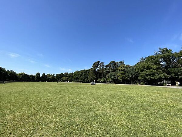 青空の下に広がる緑豊かな井の頭公園は、まさに家族団らんのステージ。休日はお子様と思い切り駆け回ったり、のんびりと寝転んだりと、心安らぐ充実した時間を過ごせます。