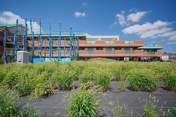 採光や通風を考慮した快適な住空間を実現