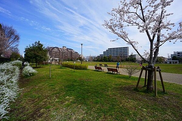 桃井はらっぱ広場 徒歩4分。少し足を延ばして「桃井原っぱ広場」へのお散歩もオススメです。 260m