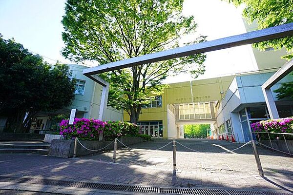 杉並区立杉並第十小学校 徒歩12分。 920m