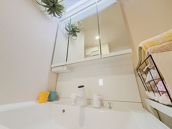 洗面を拡大表示