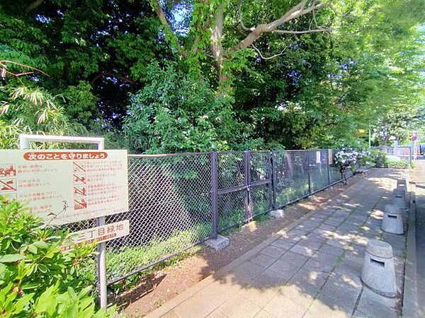 岡本三丁目小緑地 徒歩10分。 800m