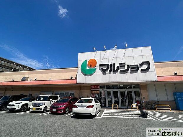 マルショク吉塚駅東店 （徒歩4分）周辺にスーパーが複数ございますので、時間帯や購入商品に合わせてお買い物ができます♪ 280m