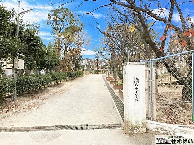 福岡市立名島小学校 （徒歩14分）小学校が徒歩圏内で小さなお子様がいらっしゃるご家庭でも安心です♪ 900m