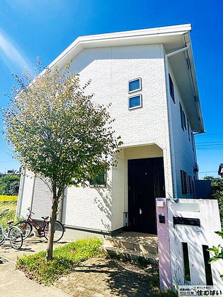 外観：340000253896