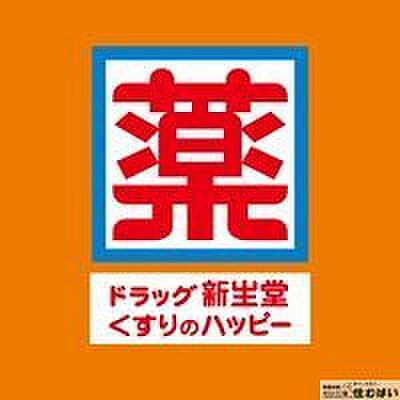 ドラッグ新生堂土井店 徒歩10分。薬はもちろん、日用品なども揃うので近くにあると便利ですね◎ 740m