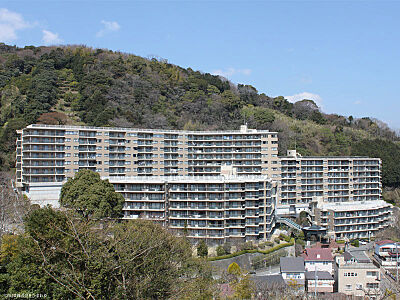 外観:マンション外観 外観:マンション外観