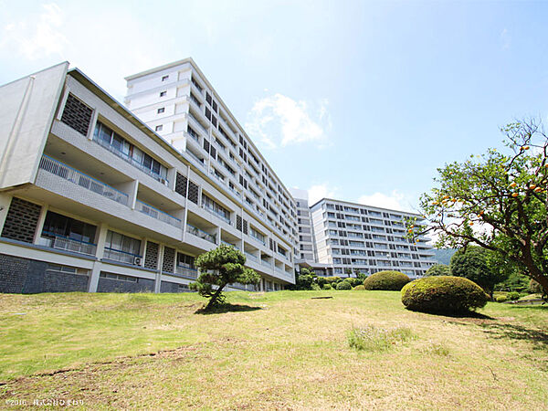 外観：322000528084