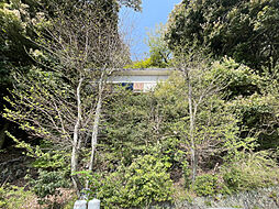 静岡県伊東市八幡野