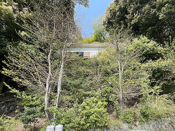 外観：322000528092