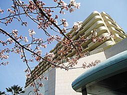 静岡県伊東市荻