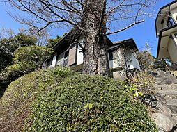 静岡県賀茂郡東伊豆町大川