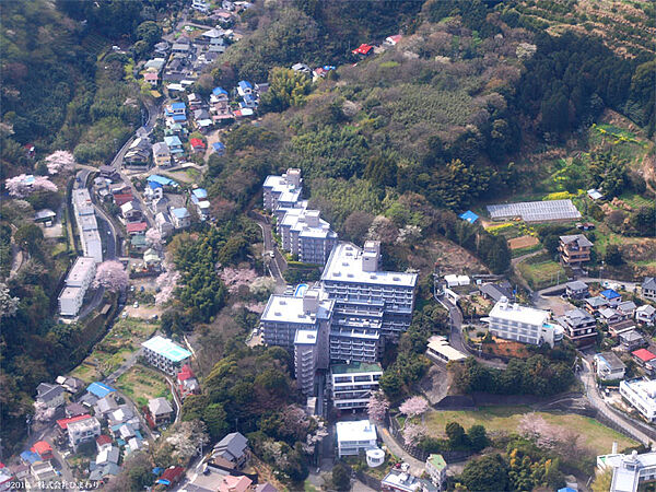 航空写真より