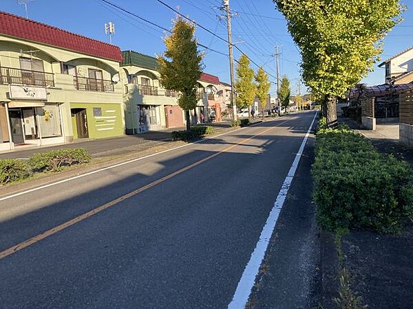 前面道路含む現地写真