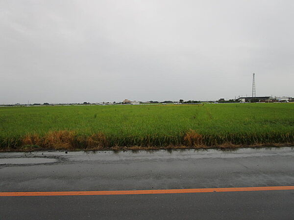 道路対面の景色