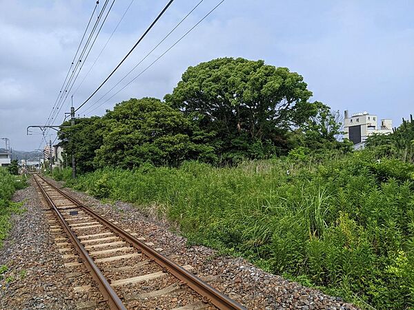 敷地のすぐ横を電車が通過するので、特別感のある体験と光景が見られます。