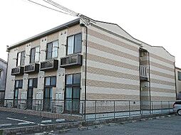 2 / 7