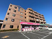 ロイヤルヒルズ青山 3階 築19年の賃貸物件