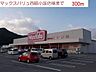 周辺：マックスバリュ西脇小坂店まで300m