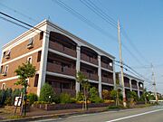 プラムガーデン 3階 築22年1ヶ月の賃貸物件