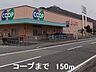 周辺：コープまで150m