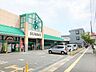 周辺：サニー向新町店 350m